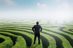 Image-Aslan-Sales-Training
