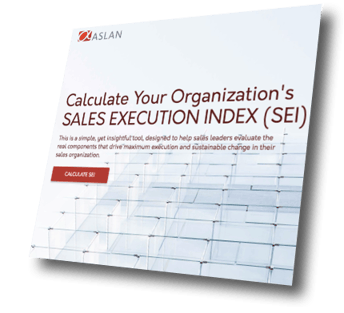 SEI-Index-From-ASLAN.png