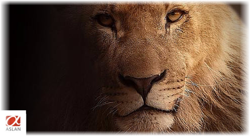 Genesis of ASLAN